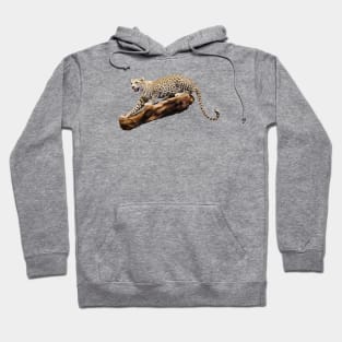 Jaguar on the hunt / Swiss Artwork Photography Hoodie